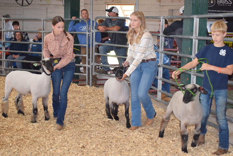 2025 Dickinson County Fair
